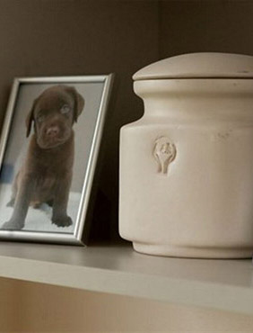 Кремация для животных