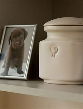 Кремация животных в Новокузнецке комфорт и забота о вашем питомце